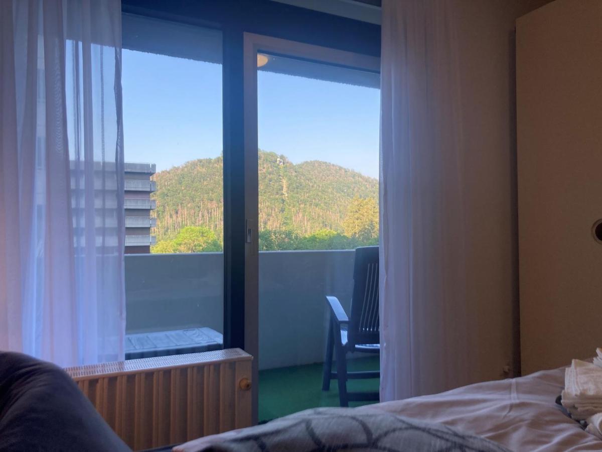 Appartamento Das Kauzennest Bad Harzburg Esterno foto